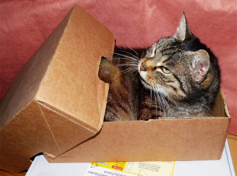 Sleeping Box - Image by Jakob Strauß from Pixabay