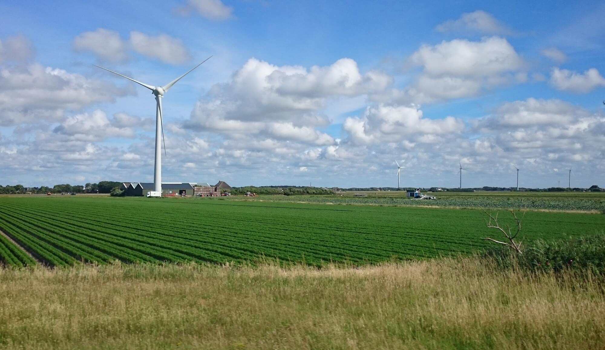 A vida na Holanda com seus campos de flores e de energia eólica